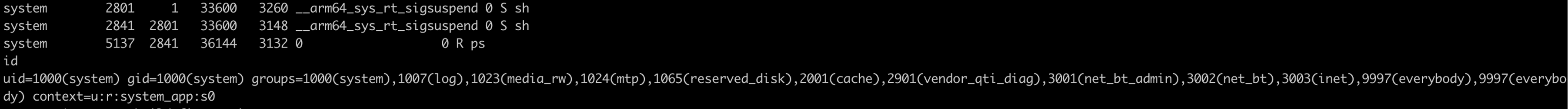The reverse shell obtained through system code execution